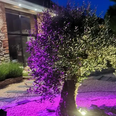 Loft De Charme Avec Piscine Privée Et à - Fr-1-489-337 Casa vacanze