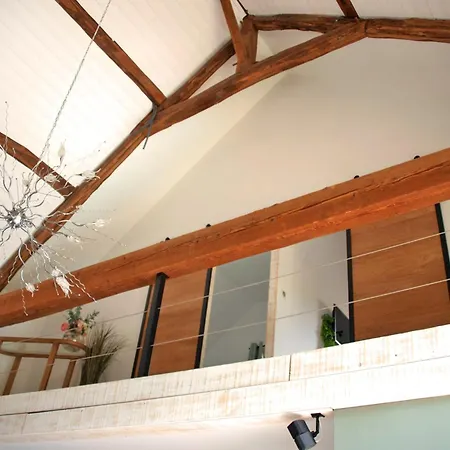 Loft Renove Avec Piscine Privee Et - Havre De Paix En Auvergne - Fr-1-489-337 *