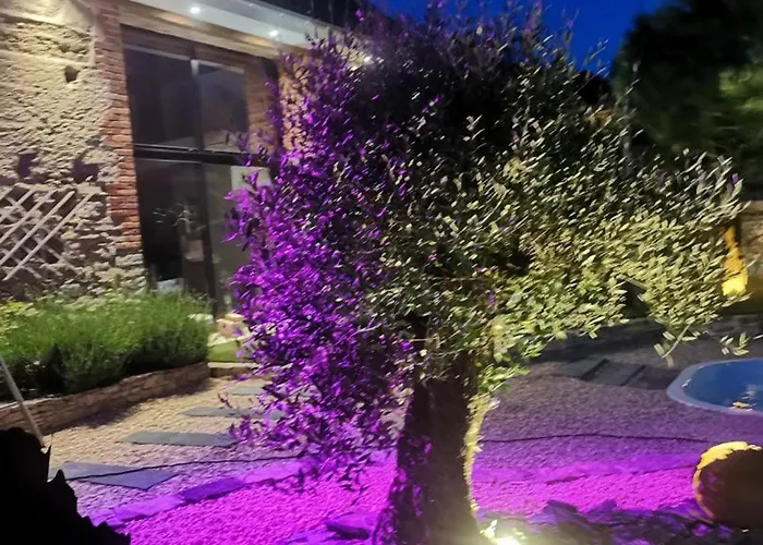 Loft Renove Avec Piscine Privee Et - Havre De Paix En Auvergne - Fr-1-489-337 Holiday home