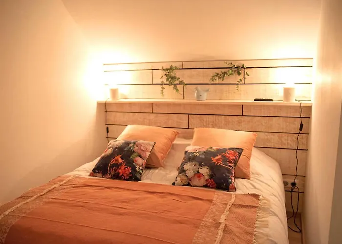 Loft Renove Avec Piscine Privee Et - Havre De Paix En Auvergne - Fr-1-489-337 * Cognat-Lyonne